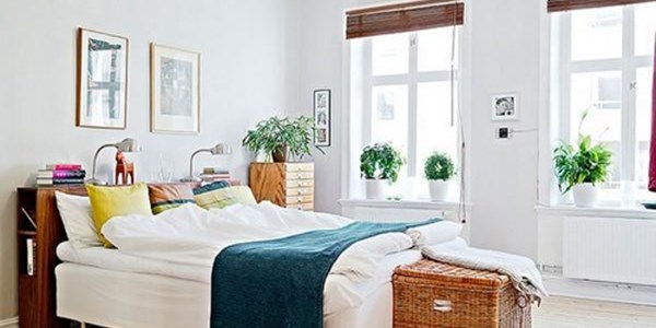 114 Đặt cây xanh trong phòng ngủ, liệu có nên?