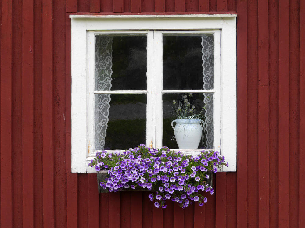 nhung khung cua so dep hut hon voi sac hoa ruc ro b35878b036 Những khung cửa sổ đẹp hút hồn nhờ sắc hoa rực rỡ