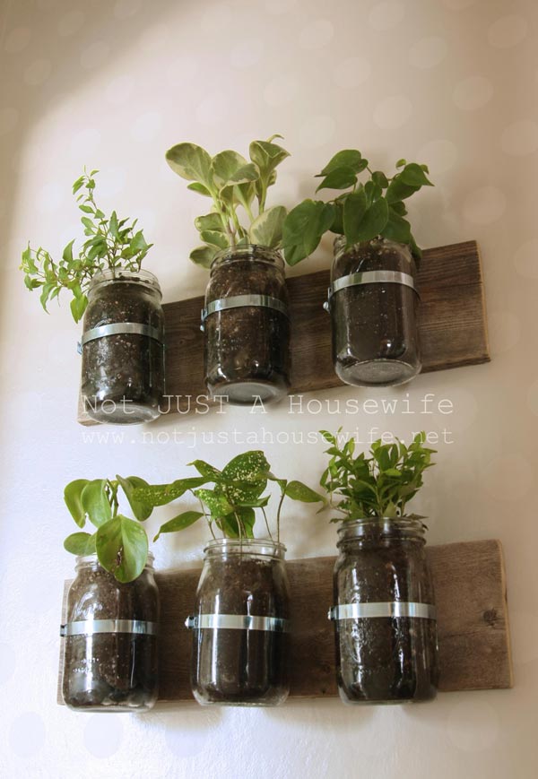 Tận dụng lọ đựng mứt cũ làm đẹp nhà 12 masonjarplanter097ec8b395bb14f Gợi ý thiết kế tận dụng lọ đựng mứt cũ làm đẹp nhà